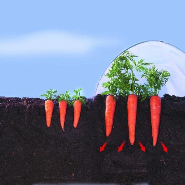 Kweekfolie / Tunnelfolie - 2 × 10 M 3 Kweekfolie / Tunnelfolie - 2 × 10 M - Afbeelding 3