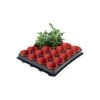 Tray Met 20 Kweekpotjes 6 Cm -Gardena Verkoopwinkel 1597239142 1 600