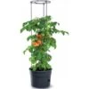 Tomaten Kweekpot Met Groeisteun - 12 Liter -Gardena Verkoopwinkel 1649410567 1 600