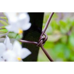 Bindbuis Elastisch Ø 2,5 Mm - Bruin 40 M -Gardena Verkoopwinkel bindbuis bruin 135 g 1484066131 2 600