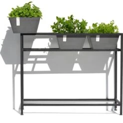 ECOPOTS Berlin Kruidentafel - Grijs 100 X 80 X 36 Cm -Gardena Verkoopwinkel ecopots berlin kruidentafel grijs 1600852112 2 600