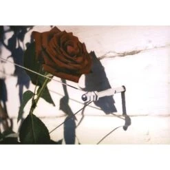 Geleidingssysteem Voor Klimplanten Palissa -Gardena Verkoopwinkel geleidingssysteem voor klimplanten 1601382137 3 600