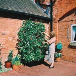 Groeibed 1 × 0,5 M Met Klimframe