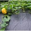 Gronddoek 1,5 M × 3 M + 10 Pinnen -Gardena Verkoopwinkel gronddoek 15 m x 3 m 10 pinnen 1553157258 1 600