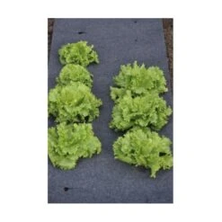 Gronddoek Vilt Met Openingen Voor Sla En Bonen - 60 Cm × 5 M -Gardena Verkoopwinkel gronddoek voor sla en bonen 60 cm x 5 m 1513845998 3 600