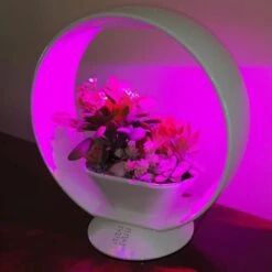 Mini Tuin Jardin Secret Met Verlichting En Bluetooth - Rond -Gardena Verkoopwinkel jardin secret met bluetooth rond 1602065218 3 600