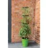 Klimplantentoren 150 Cm Met Bewateringssysteem - Groen -Gardena Verkoopwinkel klimplantentoren met bewateringssysteem 1519073626 1 600