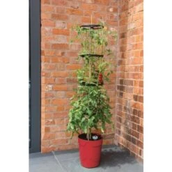 Tomatentoren Met Bewateringssysteem - 150 Cm -Gardena Verkoopwinkel klimplantentoren met bewateringssysteem 1519074088 1 600