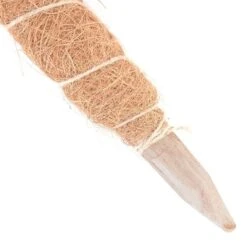 Kokos Kamerplantensteun - Plantstok Ø45 Mm × 1,2 M -Gardena Verkoopwinkel kokos plantstok 45 mm x 12 m 1622716784 2 600