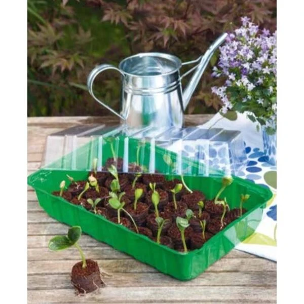 Kweekkas Met 24 Opkweekpotjes 2 Kweekkas Met 24 Opkweekpotjes - Afbeelding 2