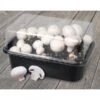 ESSCHERT DESIGN Kweekset Champignons -Gardena Verkoopwinkel kweekset champignons 1484054545 1 600