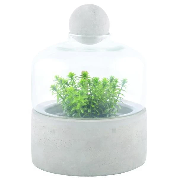 ESSCHERT DESIGN Kweekstolp Glas Op Betonbasis 2 ESSCHERT DESIGN Kweekstolp Glas Op Betonbasis - Afbeelding 2