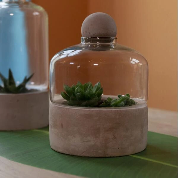 ESSCHERT DESIGN Kweekstolp Glas Op Betonbasis 4 ESSCHERT DESIGN Kweekstolp Glas Op Betonbasis - Afbeelding 4