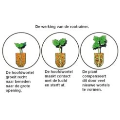 Kweektray Rapid Roots - 32 Cellen -Gardena Verkoopwinkel kweektray rapid roots 32 cellen 1487680788 0 600