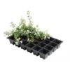 Kweektrays 24 Cellen - Professioneel - Set Van 5 Stuks -Gardena Verkoopwinkel kweektrays 24 cellen 1497863523 1 600