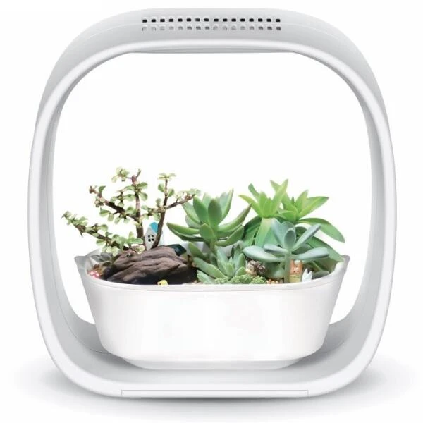 Mini Tuin 'Jardin Secret' - Ledverlichting 1 Mini Tuin 'Jardin Secret' - Ledverlichting