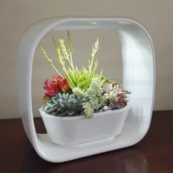 Mini Tuin 'Jardin Secret' - Ledverlichting 3 Mini Tuin 'Jardin Secret' - Ledverlichting -Gardena Verkoopwinkel mini tuin jardin secret ledverlichting 1597754451 2 600