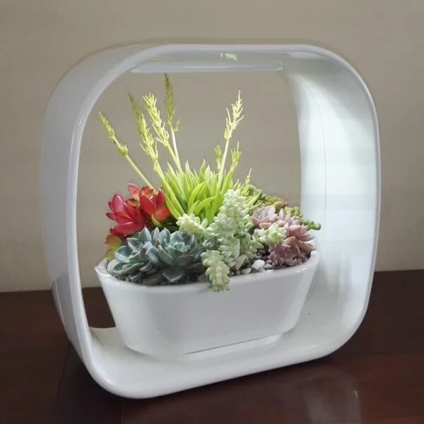 Mini Tuin 'Jardin Secret' - Ledverlichting 2 Mini Tuin 'Jardin Secret' - Ledverlichting - Afbeelding 2