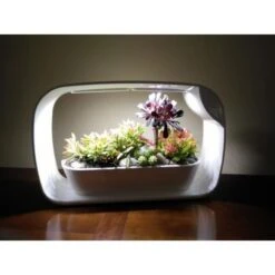 Gardena Verkoopwinkel 24 Gardena Verkoopwinkel -Gardena Verkoopwinkel mini tuin jardin secret met bluetooth 1602061938 2 600