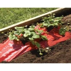 Rode Folie Voor Een Betere Plantengroei -Gardena Verkoopwinkel mulchfolie rood aardbeien en tomaten 1492072043 1 600