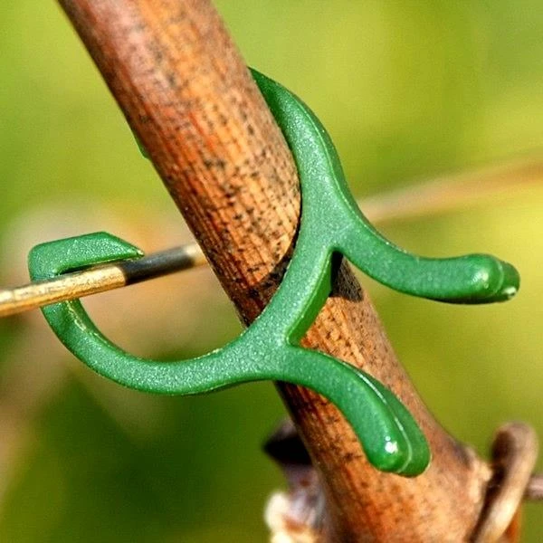 Plantenclips Kunststof - Set Van 50 Stuks 2 Plantenclips Kunststof - Set Van 50 Stuks - Afbeelding 2