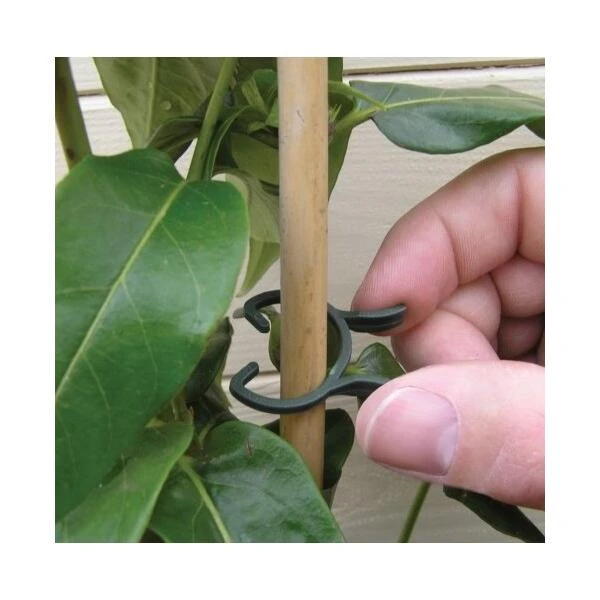 Plantenclips Kunststof - Set Van 50 Stuks 1 Plantenclips Kunststof - Set Van 50 Stuks