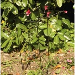 Plantensteun Rond 20 × 50 Cm -Gardena Verkoopwinkel plantensteun rond 20 x 50 cm 1518783450 1 600