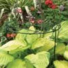 Plantensteun Groeiraster 30 × 46 Cm -Gardena Verkoopwinkel plantensteunraster 30 x 46 cm 1602581531 1 600
