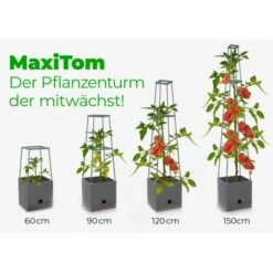 Plantentoren Maxitom Met Waterreservoir - Antraciet -Gardena Verkoopwinkel plantentoren maxitom antraciet 1677571236 4 600