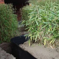 Rootblock Professionele Wortelwering 60 Cm Hoog - / Strekkende Meter -Gardena Verkoopwinkel rootblock professionele wortelwering 1552733360 3 600