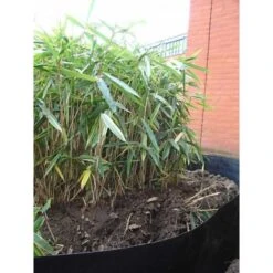 Rootblock Professionele Wortelwering 60 Cm Hoog - / Strekkende Meter -Gardena Verkoopwinkel rootblock professionele wortelwering 1552733360 5 600