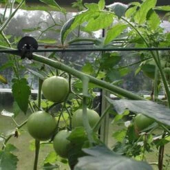 Tree-fix Boombinder 8 Cm - Set Van 50 Stuks -Gardena Verkoopwinkel treefix boombinder 8 cm 1547125995 3 600