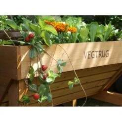 Vegtrug Verhoogde Kweektafel - 1 × 0,8 × 0,8 M -Gardena Verkoopwinkel vegtrug 1 m 1484054491 4 600