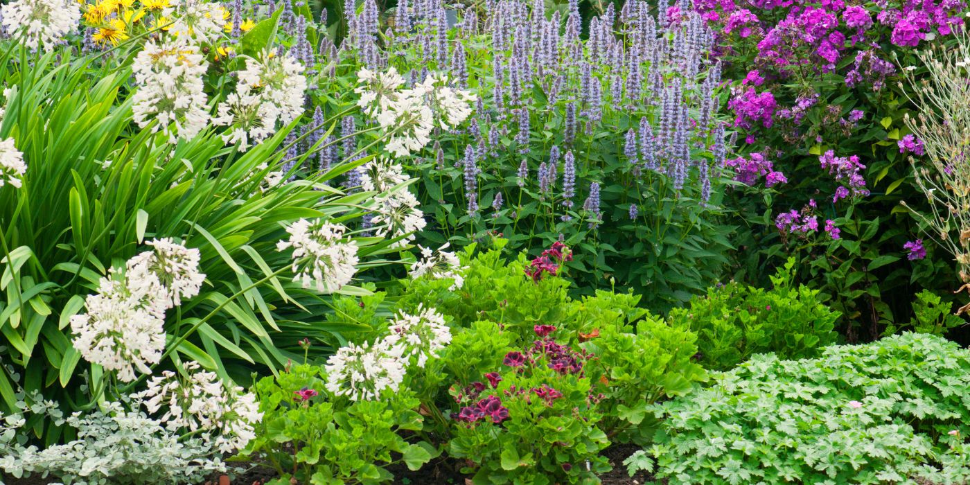 Gardena Verkoopwinkel -Gardena Verkoopwinkel Vaste planten Header2